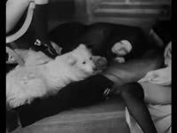Classic amateur zoo sex movie features a dainty whore and her friend enjoying beast sex romp